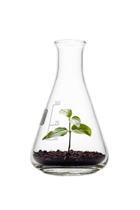 a glass flask with a plant in it
